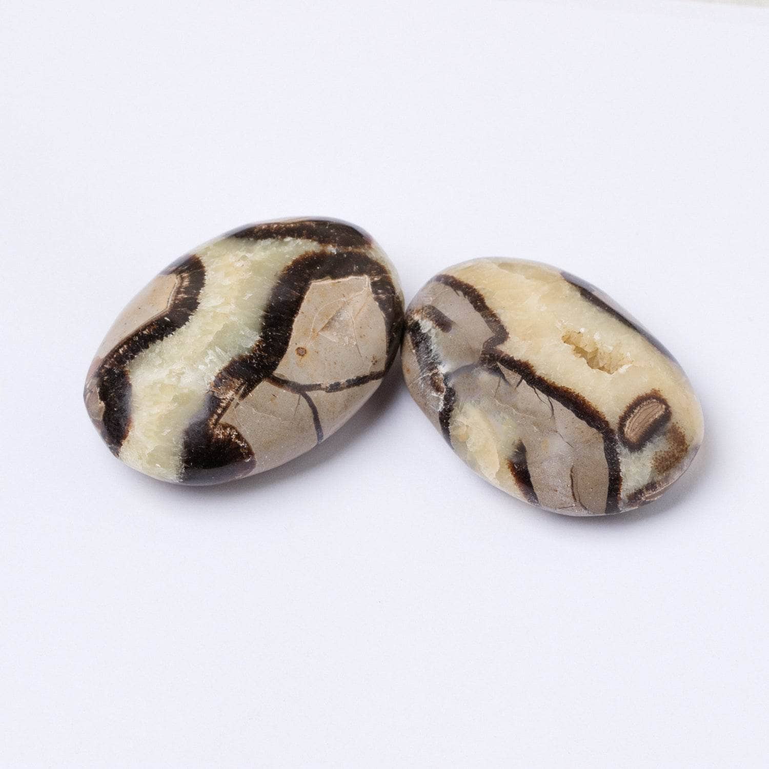 Tr-ps-sept-m1-S-3 Black Septarian Palm Stones - AAA Premium Quality - Image 3