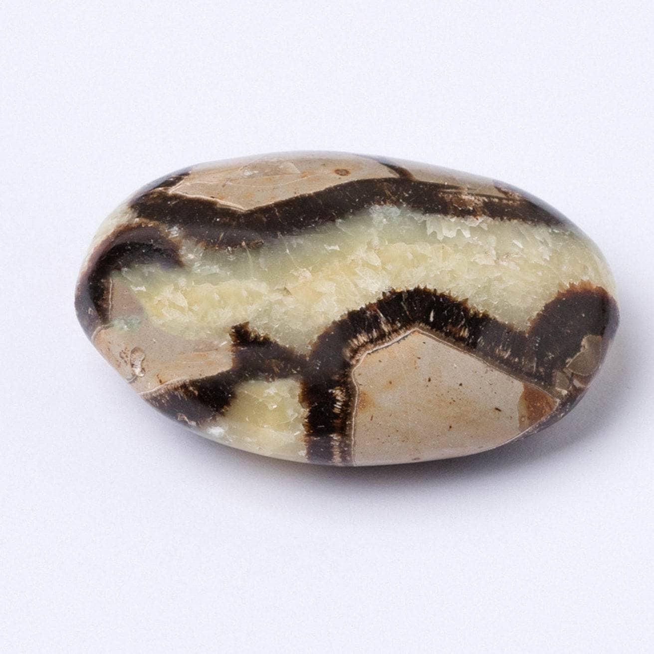 Tr-ps-sept-m1-S-6 Black Septarian Palm Stones - AAA Premium Quality - Image 4
