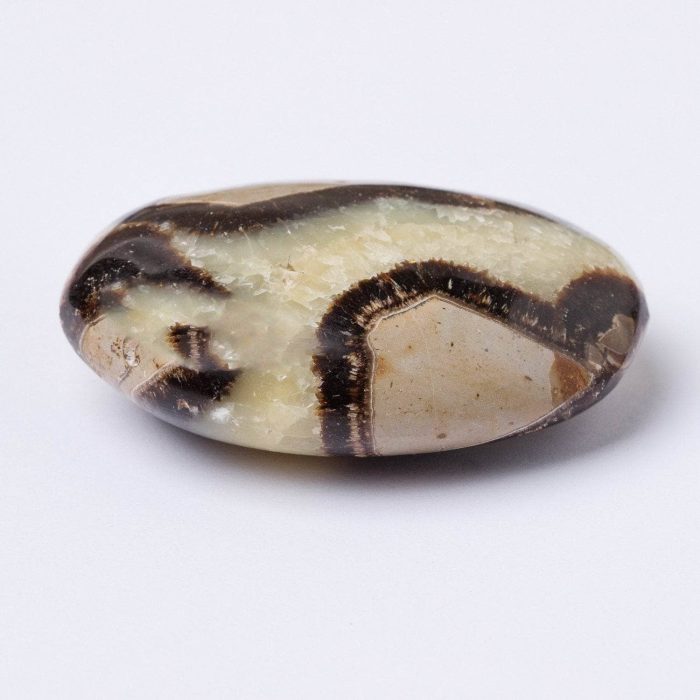 Black Septarian Palm Stones - AAA Premium Quality - Image 5