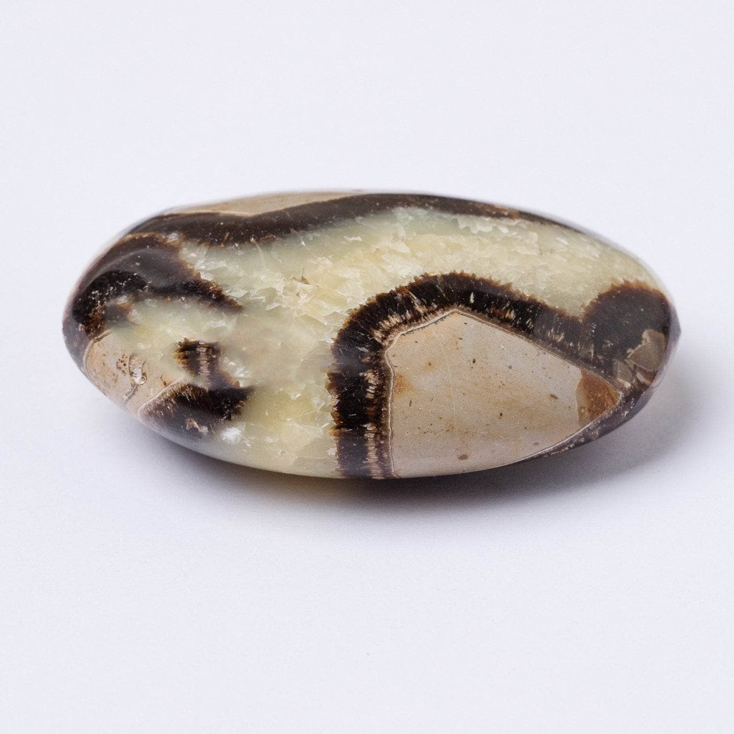 Tr-ps-sept-m1-S-7 Black Septarian Palm Stones - AAA Premium Quality - Image 5