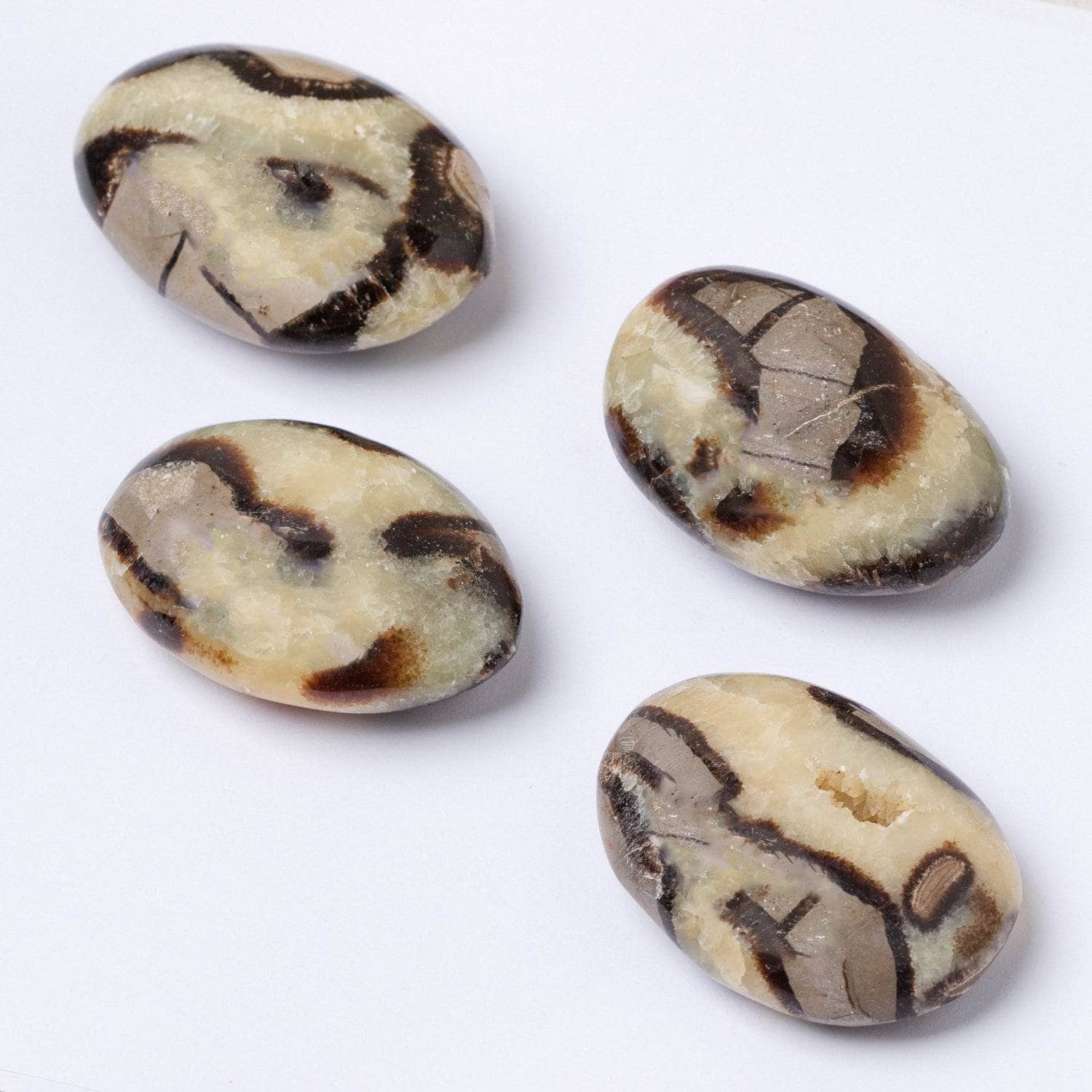 Tr-ps-sept-m1-S Black Septarian Palm Stones - AAA Premium Quality - Image 2