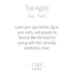 Tree Agate Energy Bracelet - Image 5