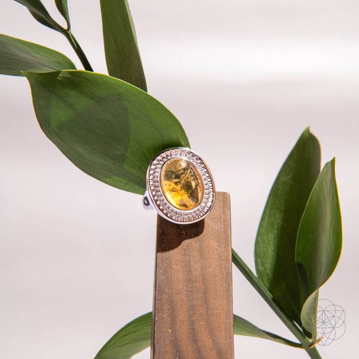 eye-of-the-sun-silver-aura-ring-of-attraction-9212648 Eye of The Sun - Silver Aura Ring of Attraction - Image 5