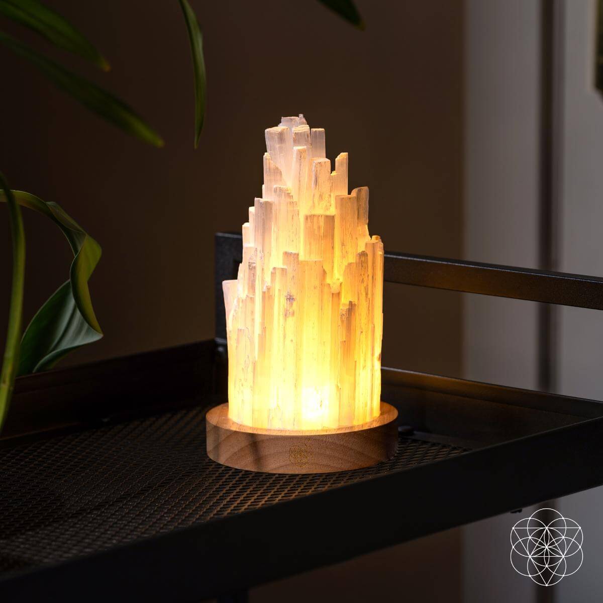 the-cleanse-all-selenite-lamp-2-pounds-of-healing-power-5415623 The Cleanse-All Selenite Lamp - 2 Pounds of Healing Power - Image 9