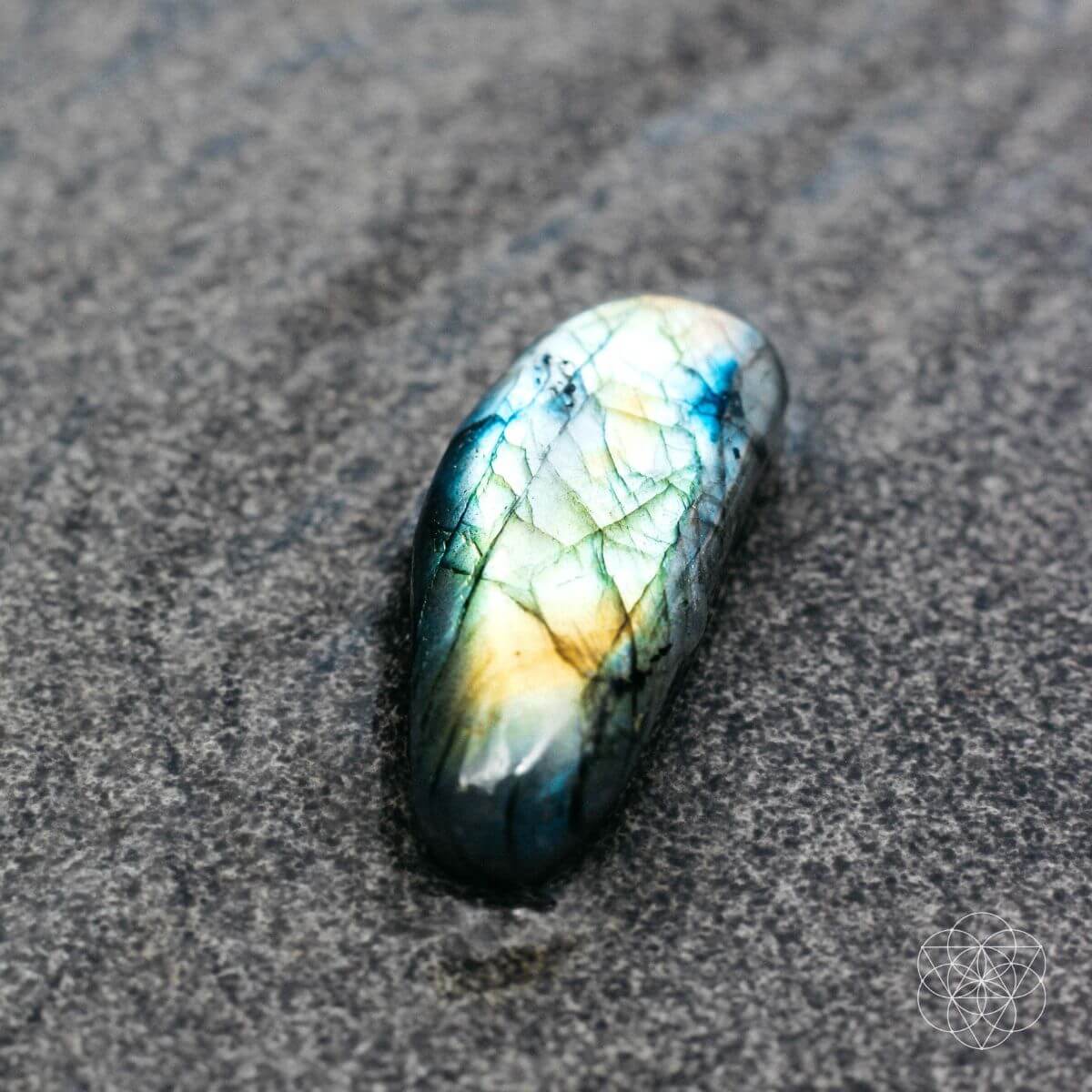 the-mind-expanding-stone-2684007 The Mind-Expanding Stone - Image 4