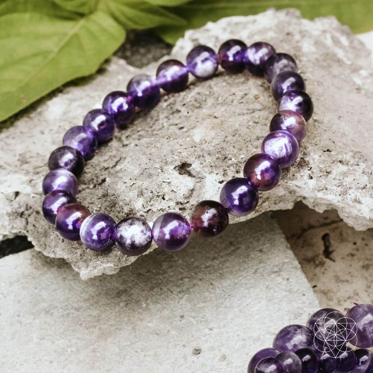 the-purification-bracelet-6990024 The Purification Bracelet - Image 5